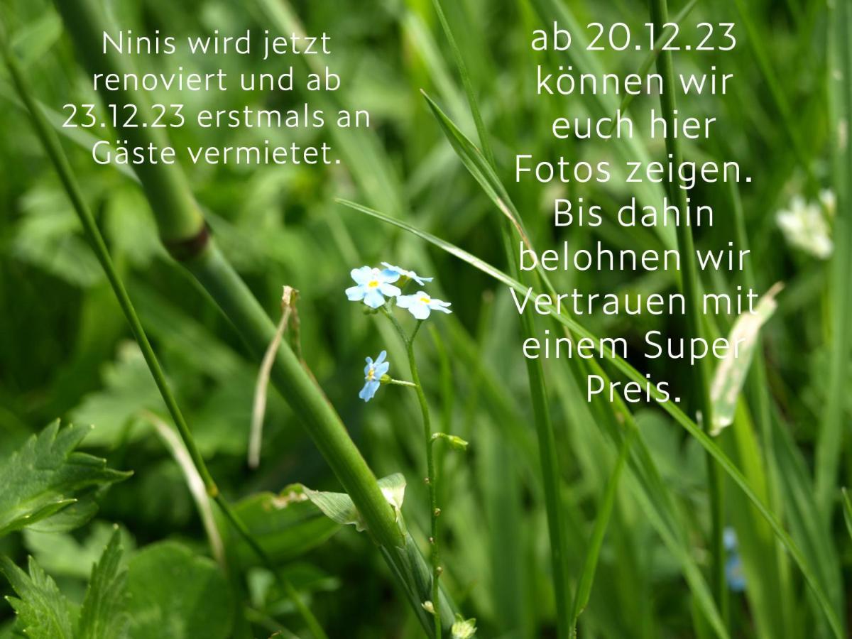 Ninis - Ferienhaus Im Bregenzerwald Egg Εξωτερικό φωτογραφία